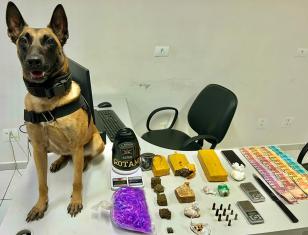 K9 localiza drogas e munições em Paranaguá