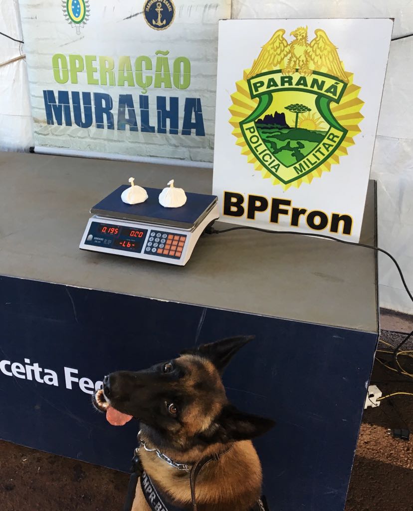 Na noite de sábado (28), policiais militares do BPFron apreenderam entorpecentes no calçado de passageira em ônibus durante a Operação Muralha.