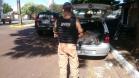 Polícia Militar por intermédio do BPFRON apreendeu 113 KG de maconha em Guaíra