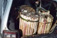 Denúncia via 181 prende suspeito de transporte de palmito ilegal no Litoral do Estado - BPAmb - SESP/Divulgação