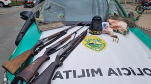 Aves silvestres e armas de fogo apreendidas