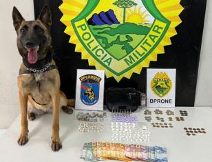 Cão Policial Beretta do BPChoque localiza drogas em Curitiba