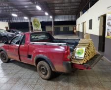 Na noite de segunda-feira (24), policiais do BPFron recuperaram um automóvel com indicativo de furto/roubo carregado com 100 kg de maconha.