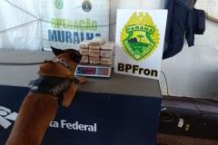 No fim da tarde de sexta-feira (27), policiais militares do BPFron com apoio da Receita Federal na Operação Muralha apreendeu em flagrante 8,460 kg de substancia análoga a maconha. 