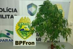 Na noite de sábado (11), durante patrulhamento em Guaíra-Pr policiais do BPFron apreenderam 204 pedras de substância análoga a crack 