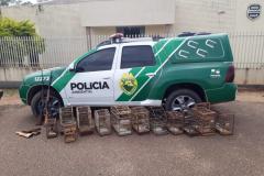 Divulgação PMPR