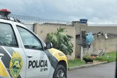 OPERAÇÃO "ACCUSA" É DEFLAGRADA EM ALMIRANTE TAMANDARÉ (PR) E GERA MAIS DE R$ 40 MIL DE PREJUÍZO AO TRÁFICO DA CIDADE