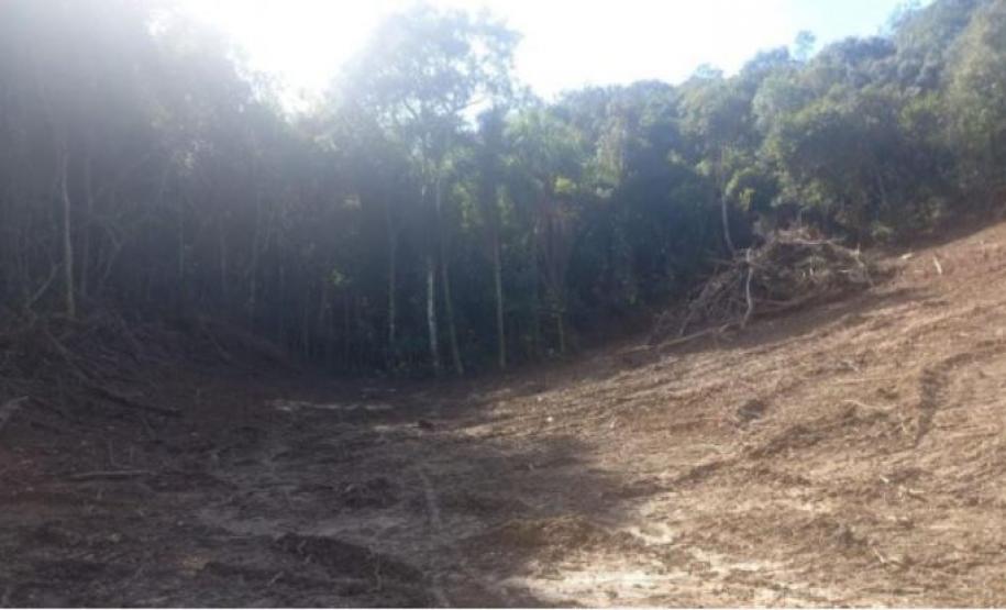 Mata nativa destruída