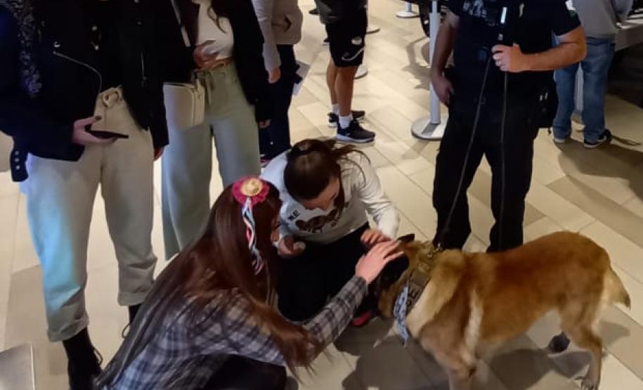 Cães farejadores - DENARC