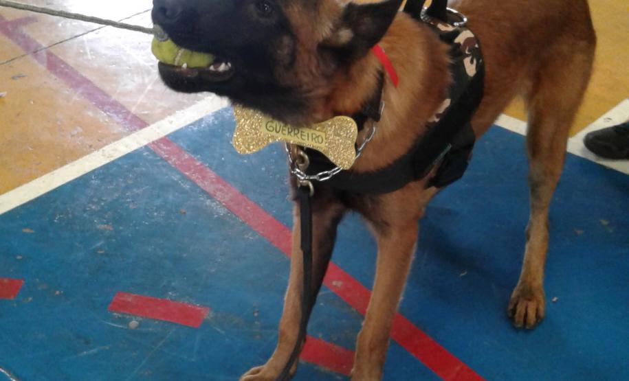 Primeiro cão policial do BPFron Primeiro cão policial do BPFron