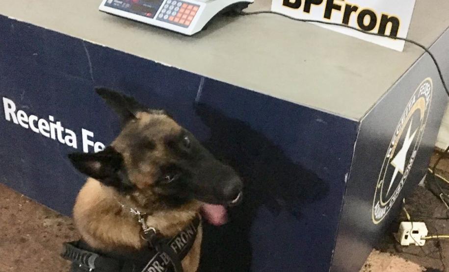 BPFron apreende entorpecente na lixeira do banheiro de um ônibus durante Operação Muralha Na noite de sábado (28) policiais militares apreenderam entorpecentes na lixeira do banheiro do ônibus durante Operação Muralha.