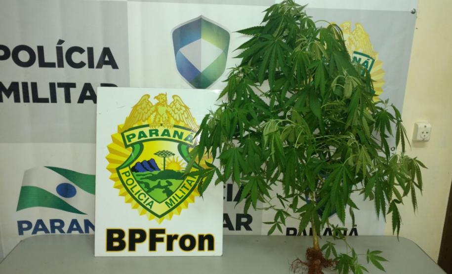 Na noite de sábado (11), durante patrulhamento em Guaíra-Pr policiais do BPFron apreenderam 204 pedras de substância análoga a crack