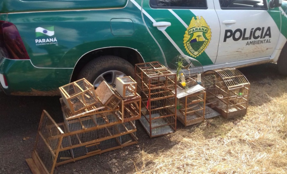 POLICIAIS AMBIENTAIS RECEBEM DENÚNCIA, APREENDEM AVES SILVESTRES E PRENDEM HOMEM COM MANDADO EM ABERTO Foto: BPAmb-FV
