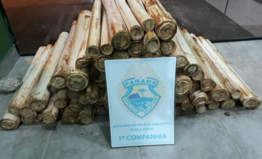 Divulgação BPAmb-FV