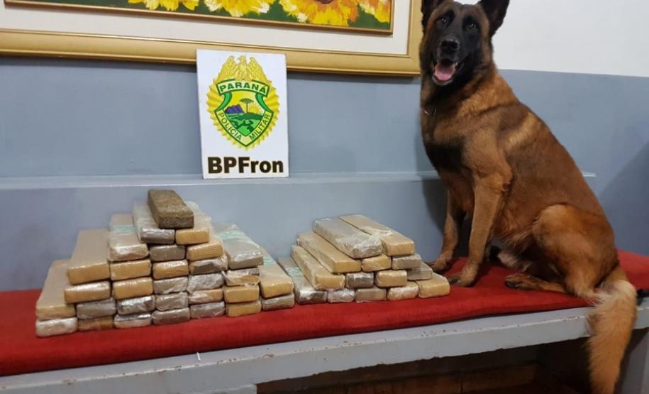 BPFRON APREENDE QUASE 30 QUILOS DE MACONHA, PRENDE HOMEM E ENCAMINHA ADOLESCENTE NO OESTE DO ESTADO Divulgação BPFRON