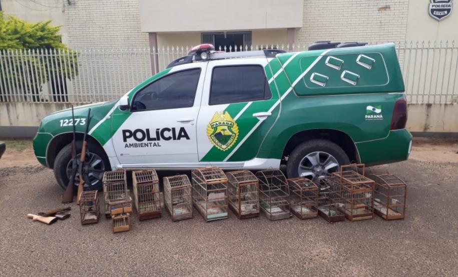POLÍCIA AMBIENTAL APREENDE 13 ANIMAIS SILVESTRES QUE ERAM MANTIDOS EM CATIVEIRO NO NORTE DO ESTADO; UM HOMEM PRESO Divulgação PMPR