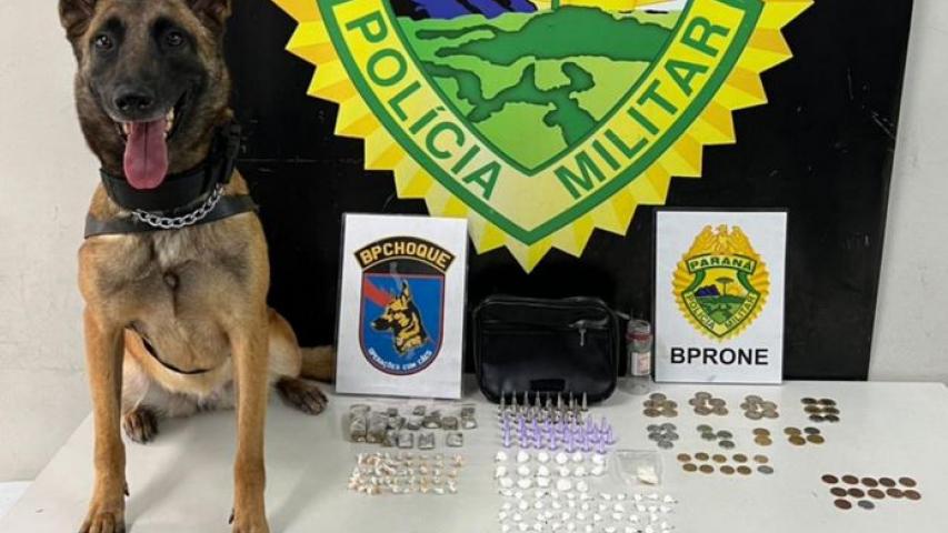 Cão Policial Beretta do BPChoque localiza drogas em Curitiba